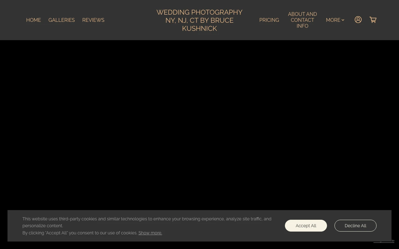 Bruce Kushnick Wedding Photography studio preview