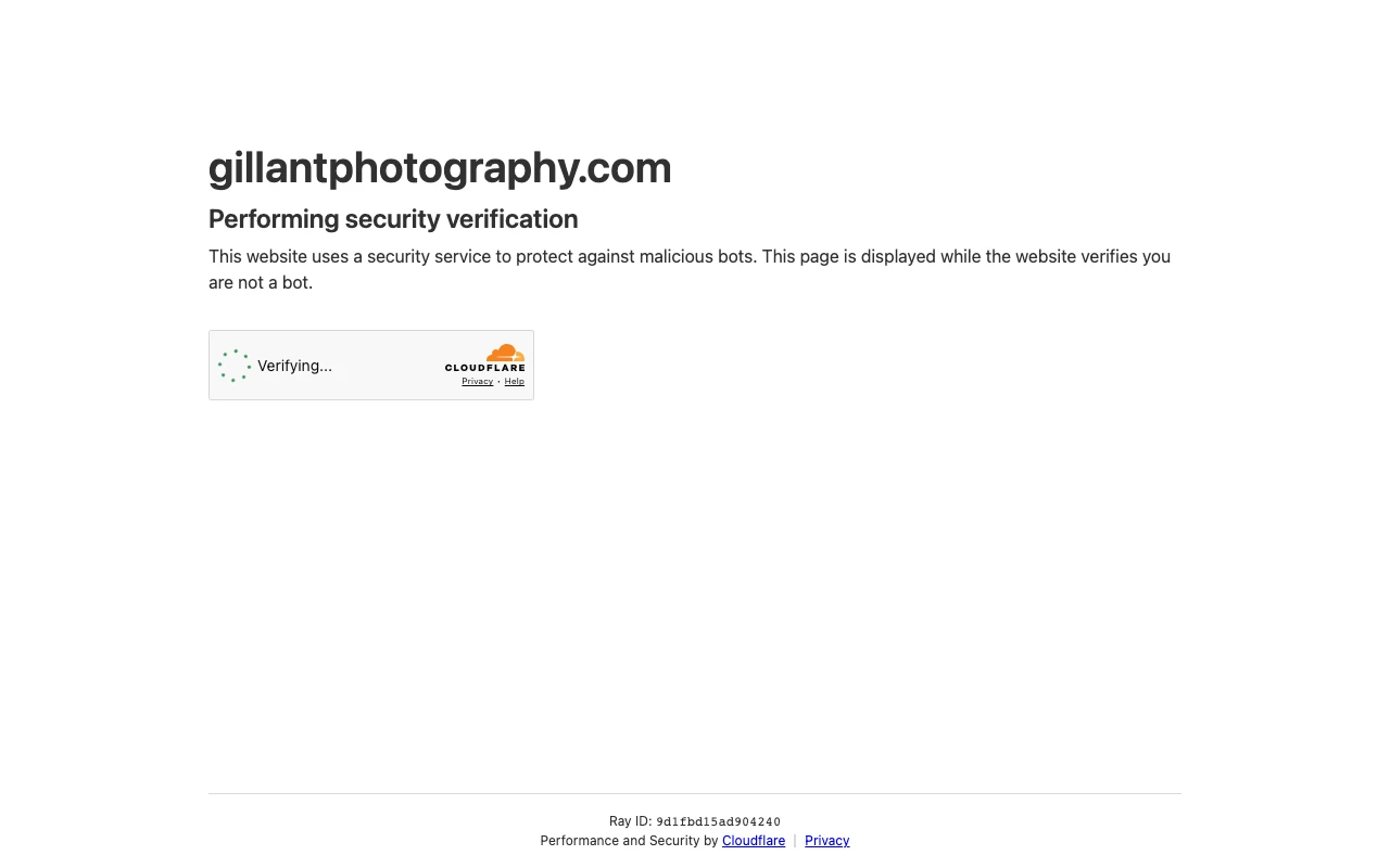 Gillant Photography studio preview