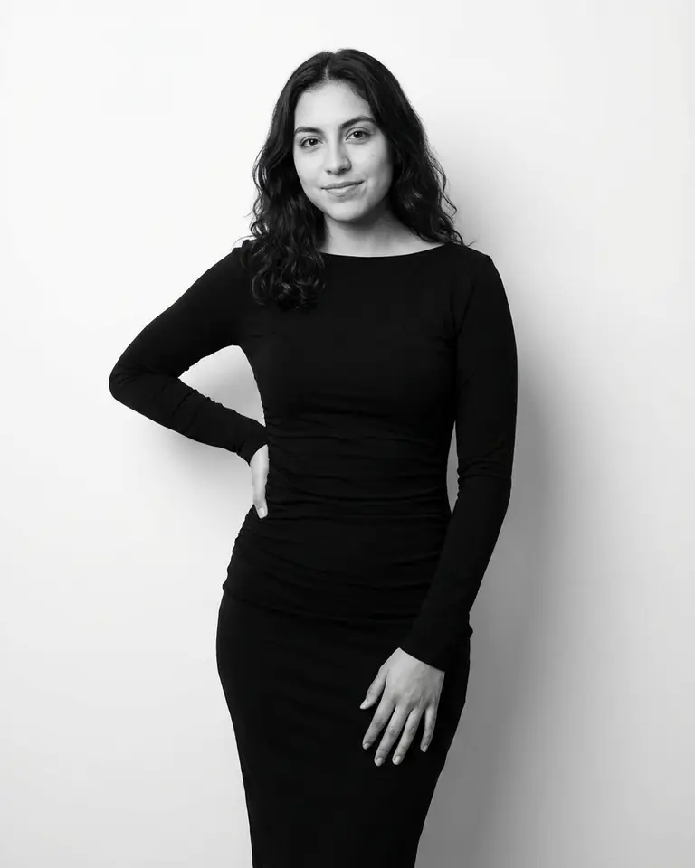 Silent Ink related preview 5